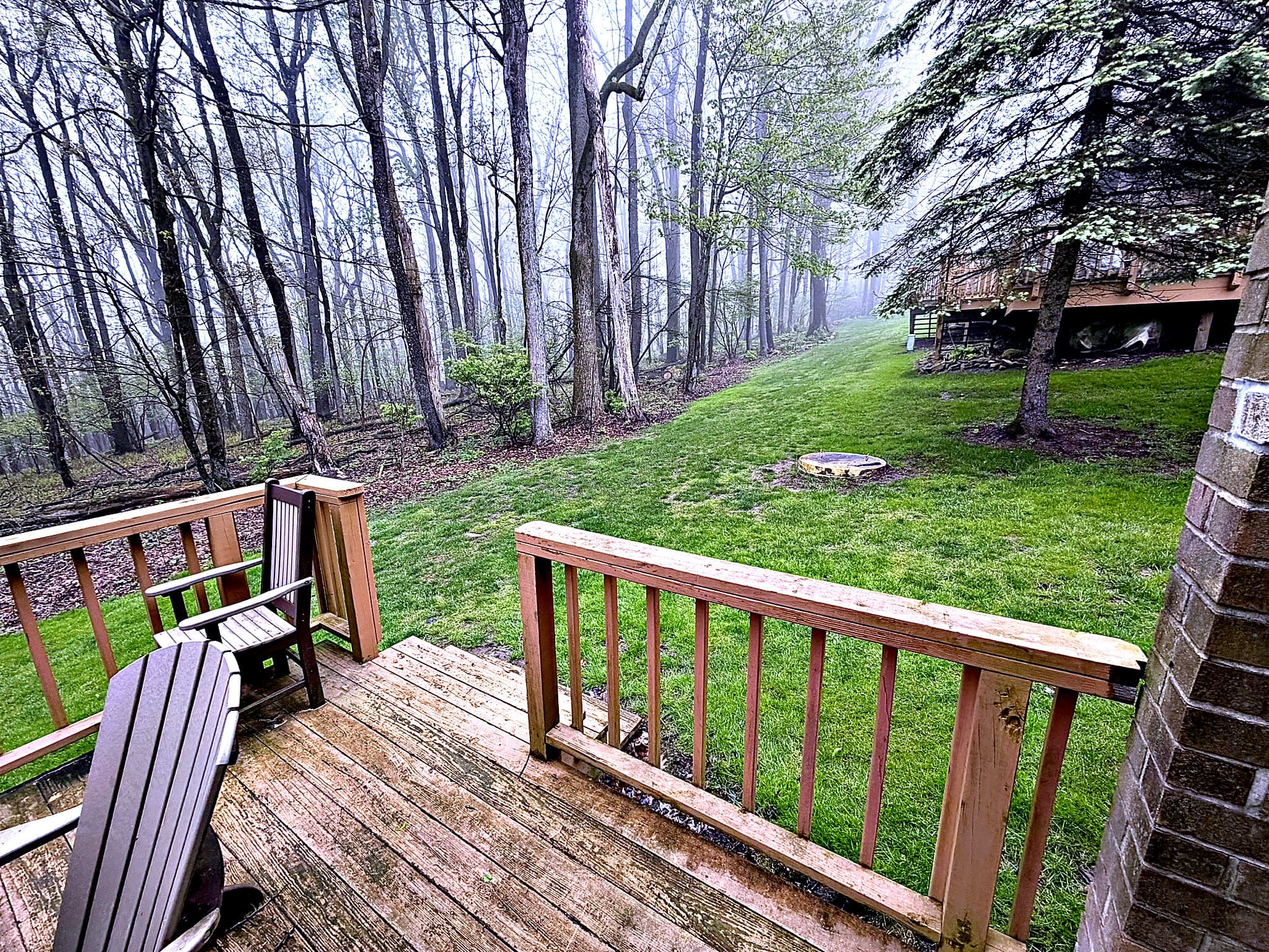 Backyard view from deck — Laurel Highlands forest