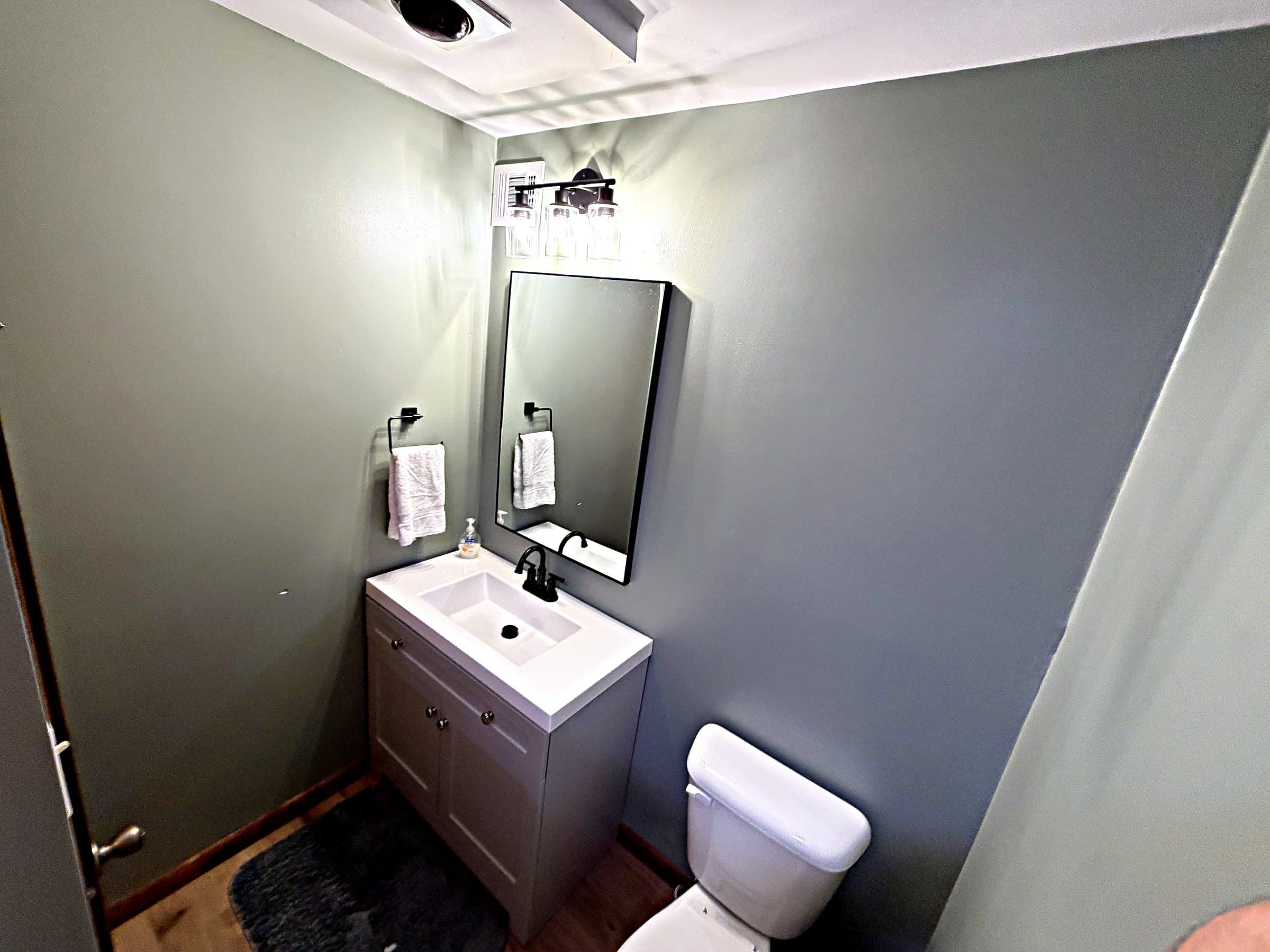 Full bathroom with sage walls and modern vanity